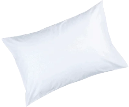 ΑΡΧΙΚΗ μαξιλάρια neostroma